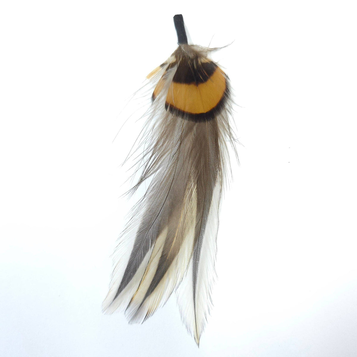 Floating Feather Embellishment