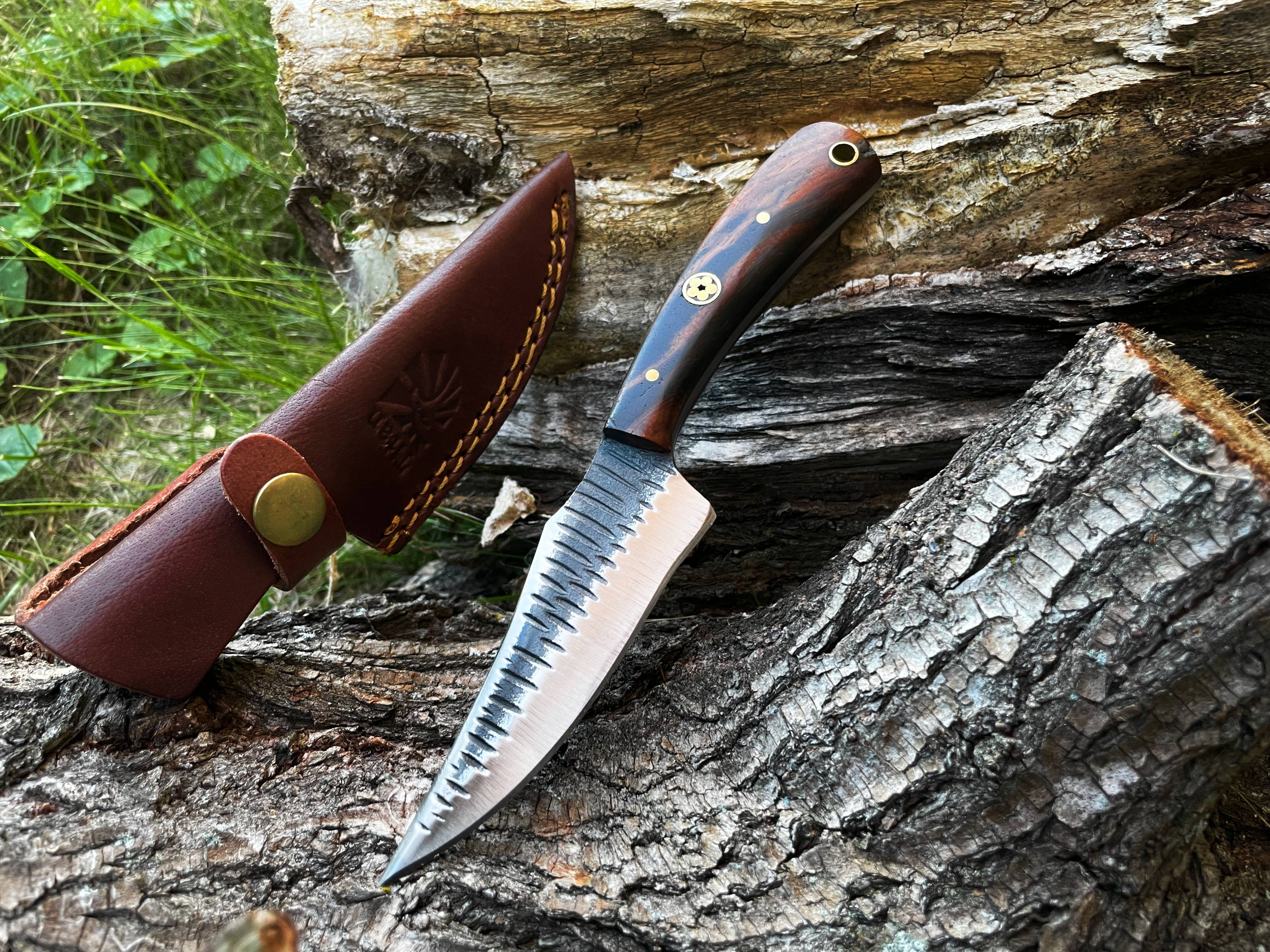 Titan International - TC-055 Carbon steel Black Walnut wood scales