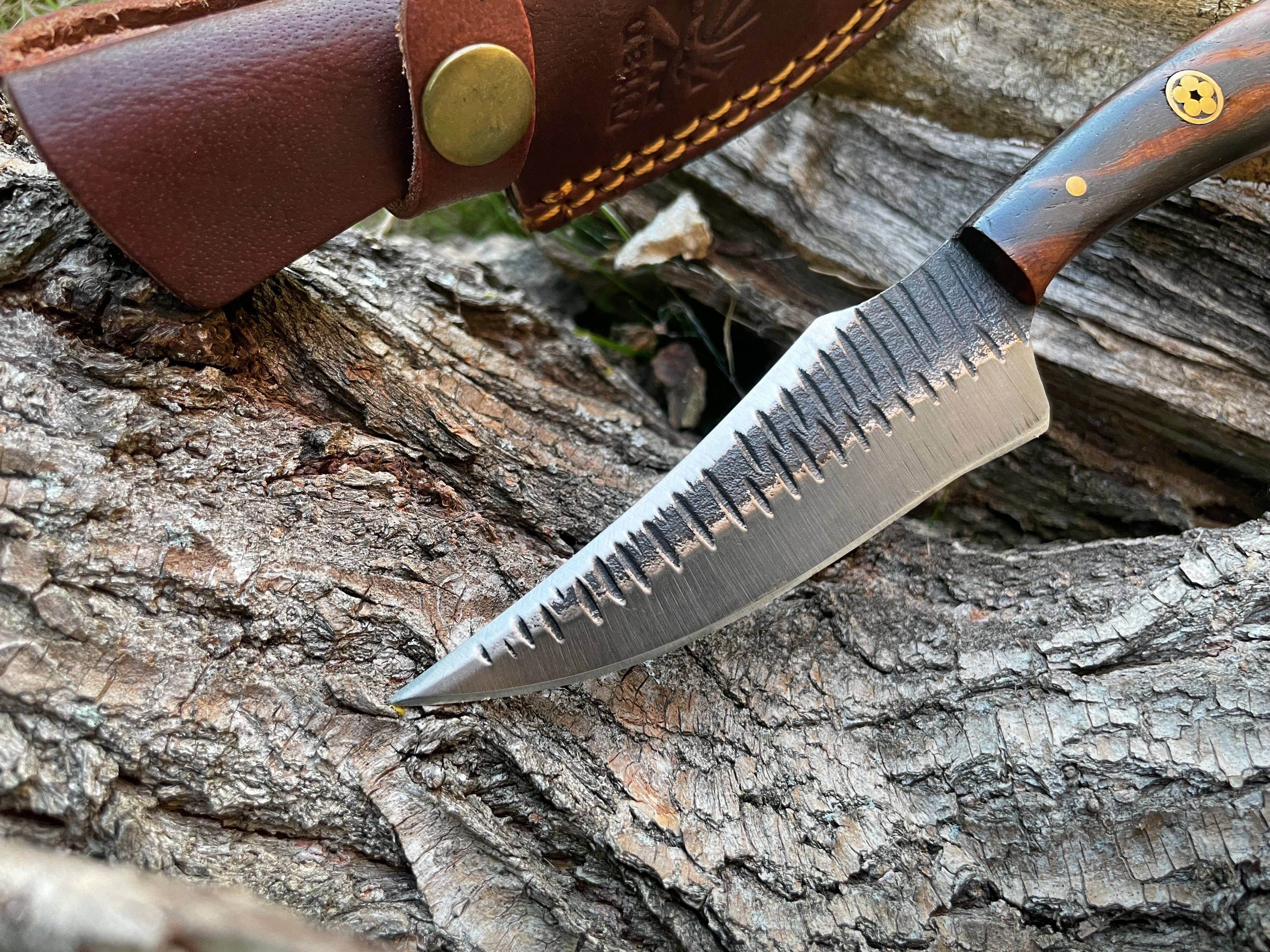 Titan International - TC-055 Carbon steel Black Walnut wood scales