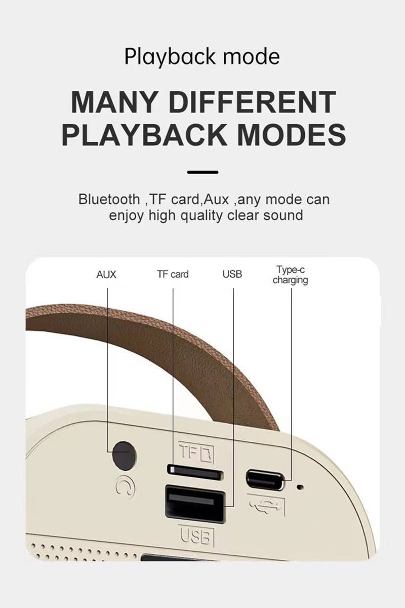 Karaoke Bluetooth Speaker Set featuring multiple input options and a portable design for easy carrying.