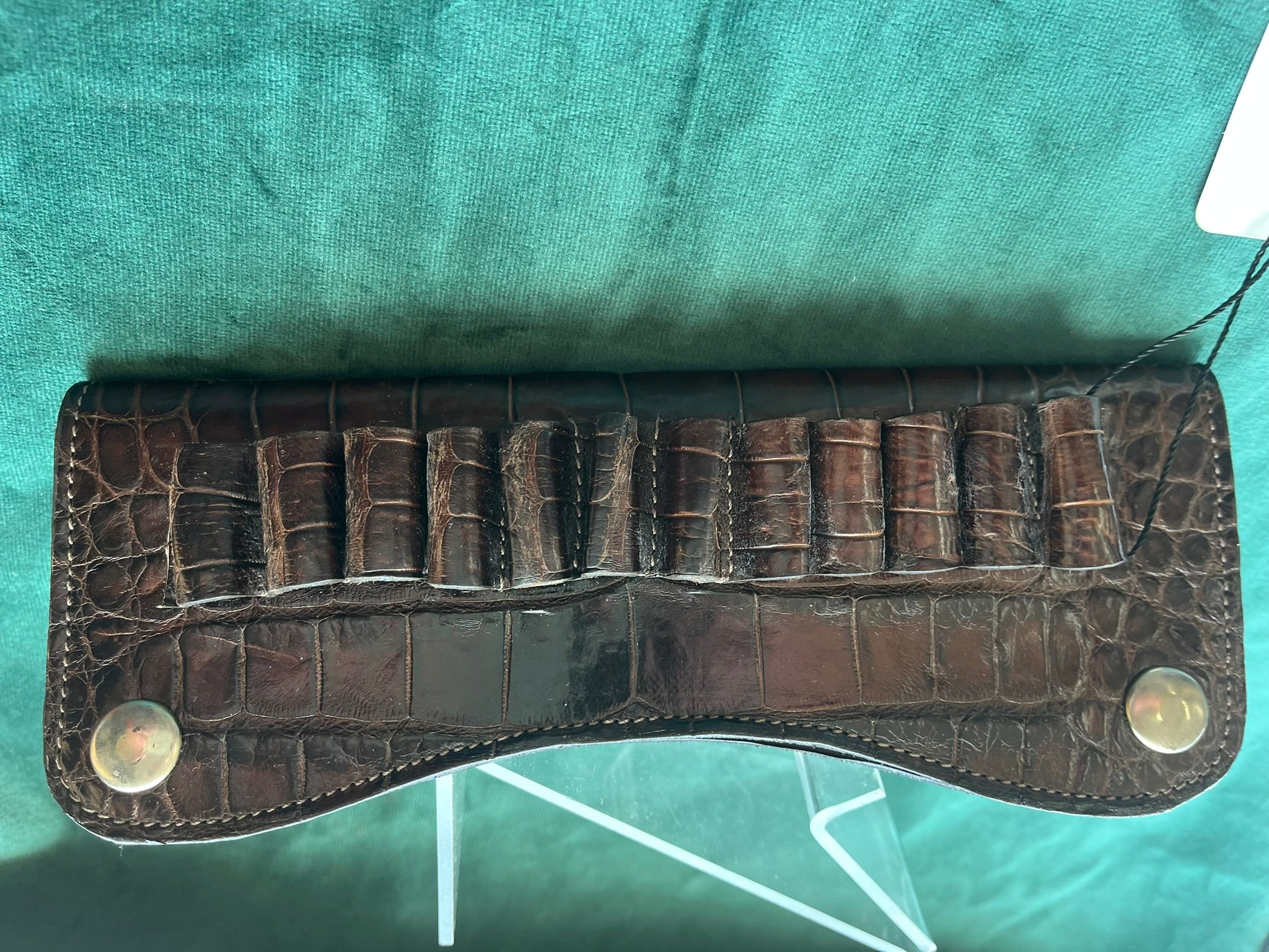 Wild American alligator  bullet belt holster