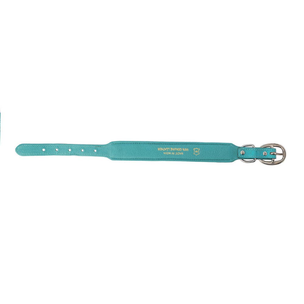 Turquoise leather dog collar featuring a smooth surface, adjustable holes, and a metal buckle.