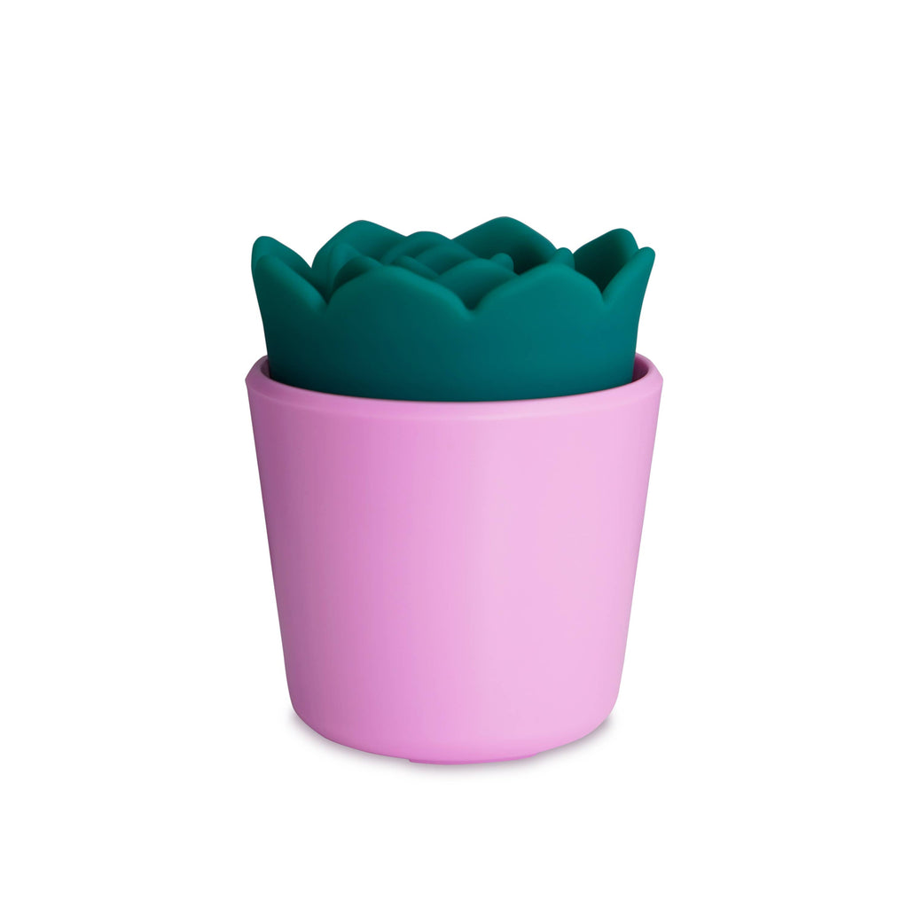 plusOne - Stimulateur Succulent PlusOne