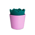 plusOne - Stimulateur Succulent PlusOne