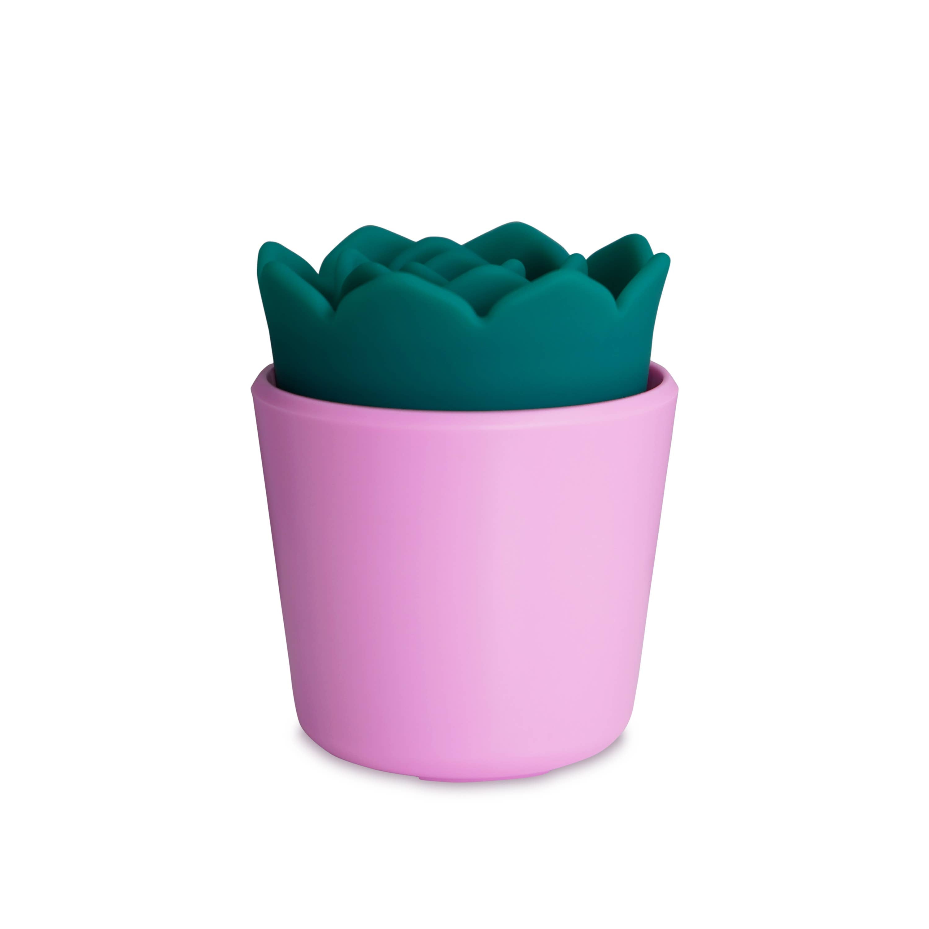 plusOne - Stimulateur Succulent PlusOne