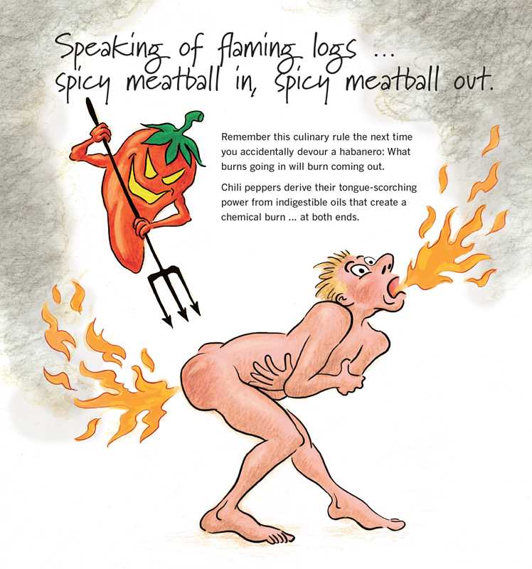 Simon & Schuster - Everybody Poops 410 Pounds a Year by Deuce Flanagan